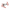 ピンク