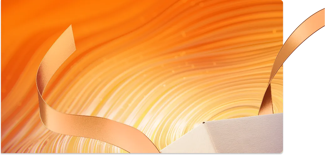 2025 black friday gift bg 2 pc new