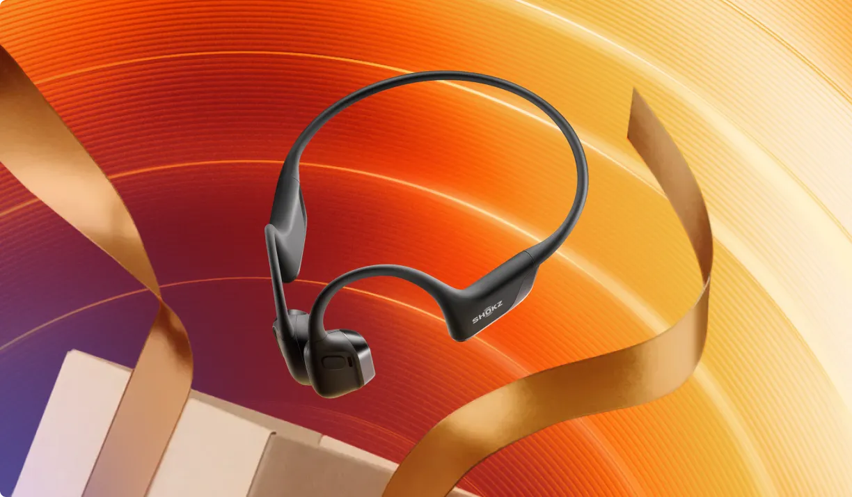 2025 Black Friday product feature image