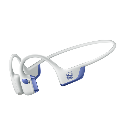 OpenRun Pro 2